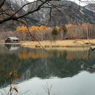 朝の水辺