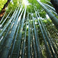 京都補完計画 其ノ弐拾肆