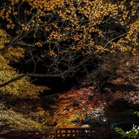 岩屋堂ライトアップ