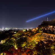 清水寺ライトアップ1
