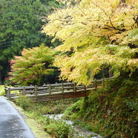 秋の色彩