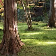 京都補完計画 其ノ肆拾壱