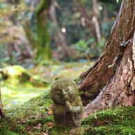 京都補完計画 其ノ肆拾参