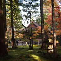 京都補完計画 其ノ肆拾肆