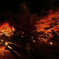 紅葉　岩屋堂公園3