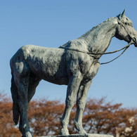 天高く馬肥ゆる秋