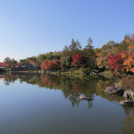 日本庭園の秋