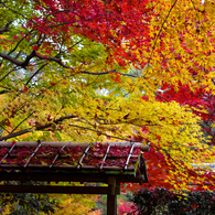 南禅寺・天授庵