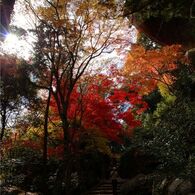 笠置山＃03
