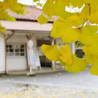 晩秋の駅