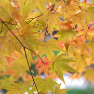 京都２０１２－８