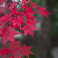 京都２０１２－９
