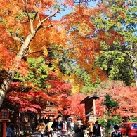 紅葉狩り