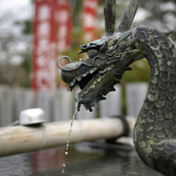 ドラゴン