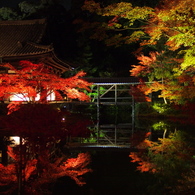 京の水鏡