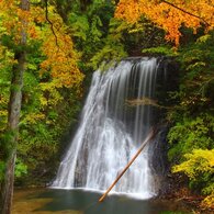 紅葉と滝