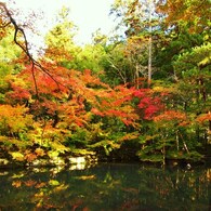 京都補完計画 其ノ佰壱