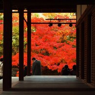 京都補完計画 其ノ佰弐