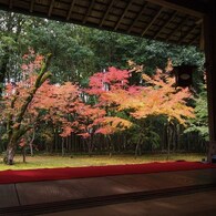 京都補完計画 其ノ佰弐拾弐