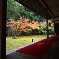 京都補完計画 其ノ佰弐拾参