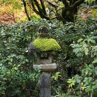 京都補完計画 其ノ佰弐拾肆