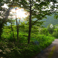 photo_shinryoku005a