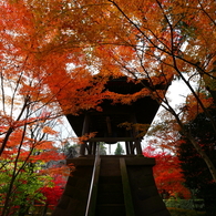 錦秋の平林寺２