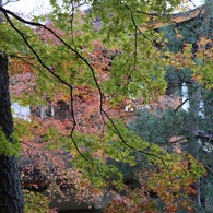 銀閣寺