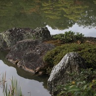 金閣寺
