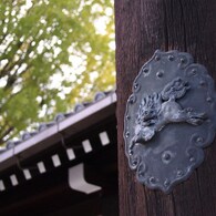 京都補完計画 其ノ佰肆拾弐