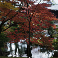金戒光明寺　2