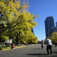 駅前通り