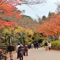 紅葉狩り