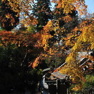 円覚寺・その７