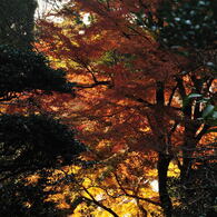 円覚寺・その８