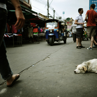 Khaosan Road