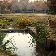 世田谷田園風景