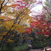 DSCF0042