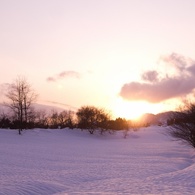 雪原を優しく照らして