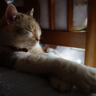 Zzz