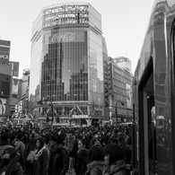 shibuya winter photos 2012 #3