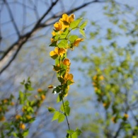 Fukushima tours #12