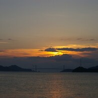 一羽の鴎が