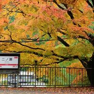 そうだ京都を写そう！二ノ瀬駅