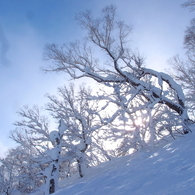 雪のある風景