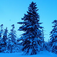 雪のある風景3