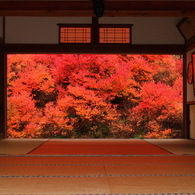 安国寺