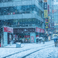 ある雪の日の秋葉原(秋葉原公園付近)