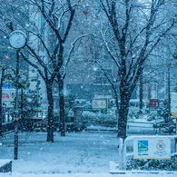 ある雪の日の秋葉原(秋葉原公園)