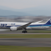 ANA B787-8